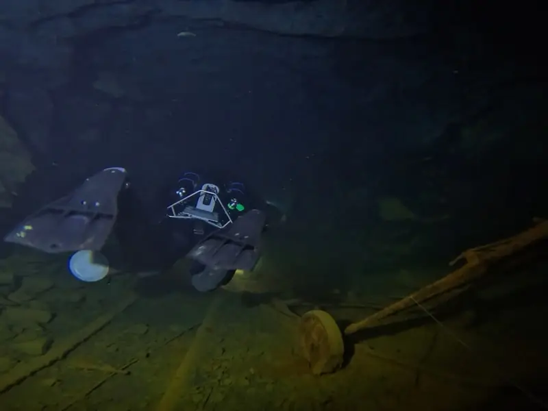 i.a.c. Mine Diving Nuttlar