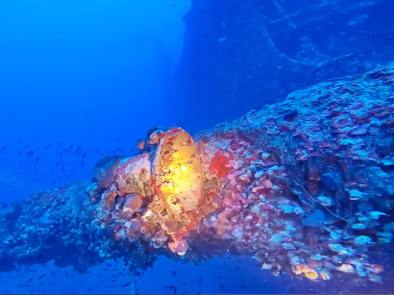 i.a.c.  Burdigala CCR-Glocke